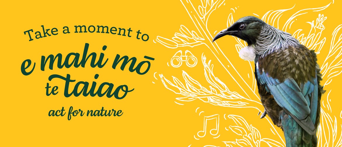 Take a moment to e mahi mō te Taiao, act for nature