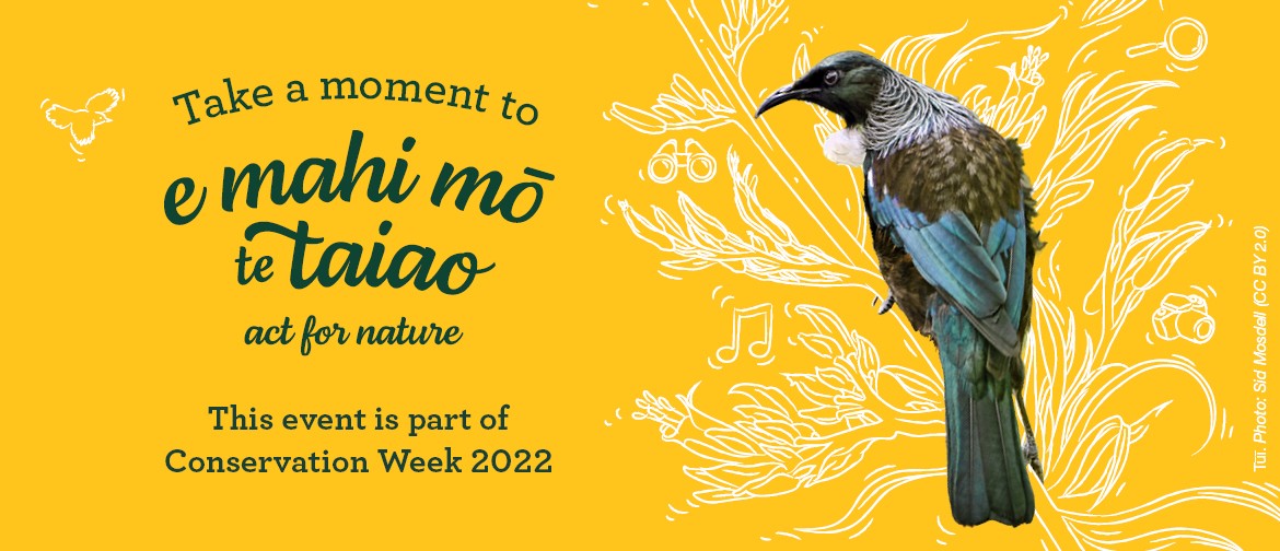 Conservation Week Talk - bringing birds back to Abel Tasman