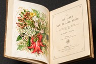 Image for event: COLOURS DELUXE: The Art Album of New Zealand Flora by Sarah