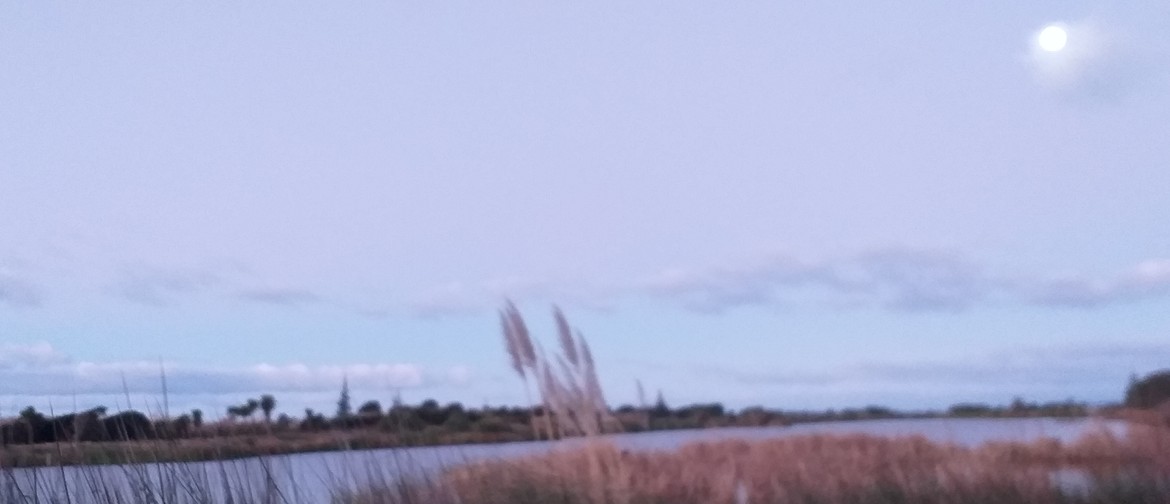 Whakapaipai ki Matata (Beautify Matata) Whakapaipai ki Matata (Beautify Matata)