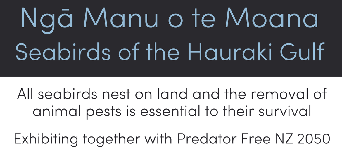 "Nga Manu o te Moana" Seabirds of the Hauraki Gulf