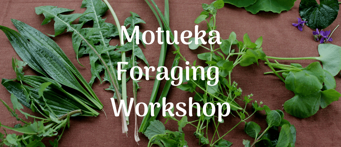 Motueka Foraging Workshop