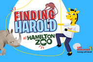 Finding Harold 