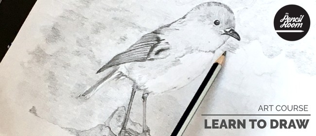 Learn To Draw! Six Week Art Course