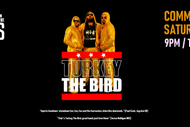 Turkey the Bird