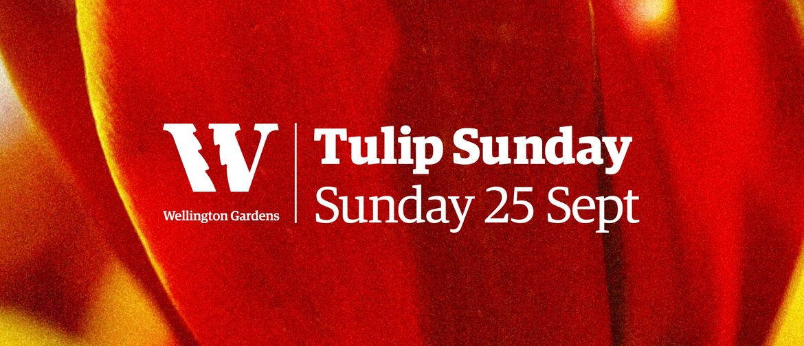 Tulip Sunday: CANCELLED