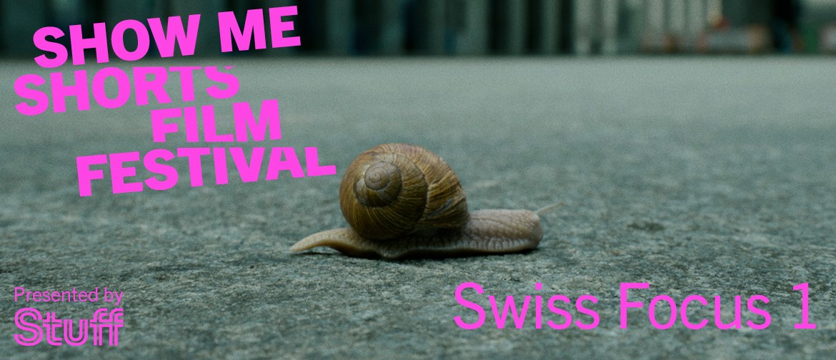 Show Me Shorts - Swiss Focus 1 Show Me Shorts - Swiss Focus 1