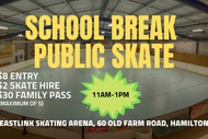 School Holiday Public Skating Sessions