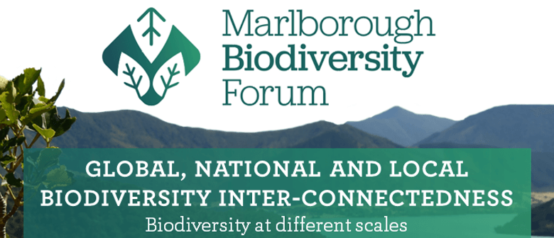 Marlborough Biodiversity Forum