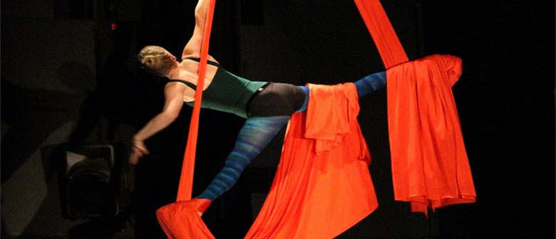 Open Circus Arts (Adults 16+)