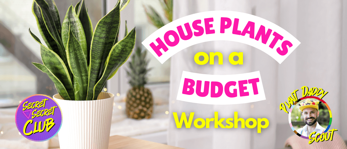 House Plants on a Budget