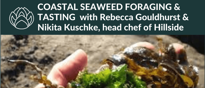 Coastal Seaweed Foraging & Tasting