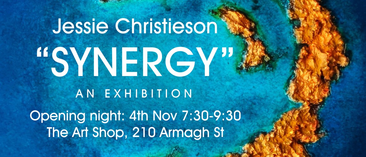 "Synergy" an exhibition by Jessie Christieson, Opening Night