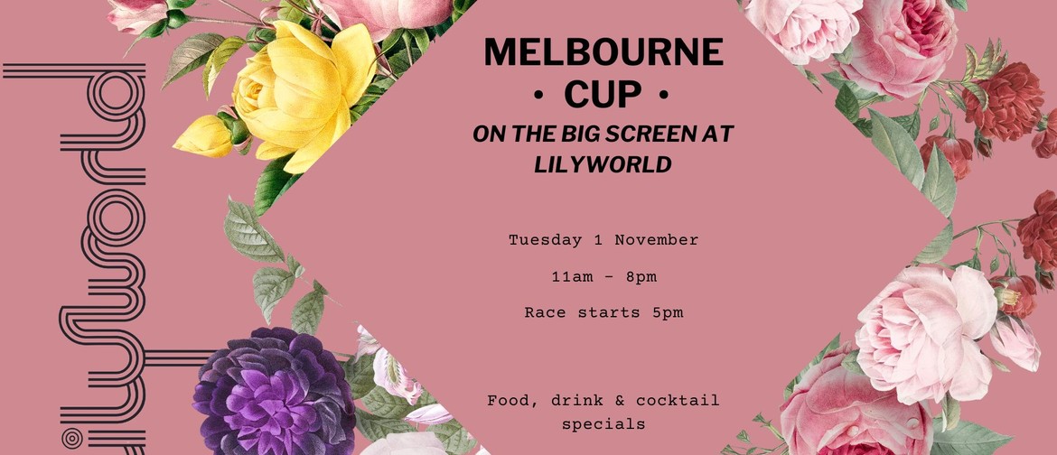Melbourne Cup on the big screen at Lilyworld