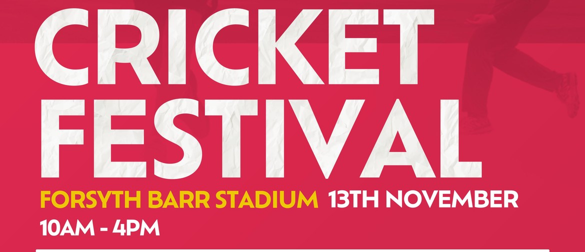 Multi Cultural Cricket Festival