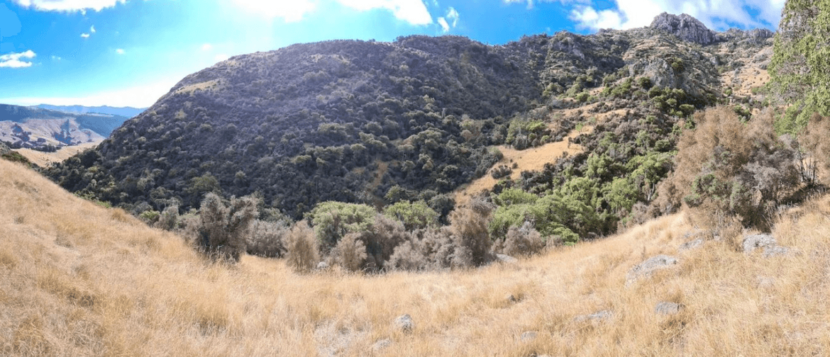 24 Purau Hidden Valley
