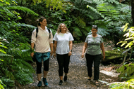 Image for event: Forest Serenity Day