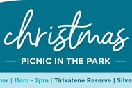 Image for event: Christmas Picnic in the Park