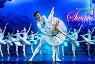 Image for event: Swan Lake