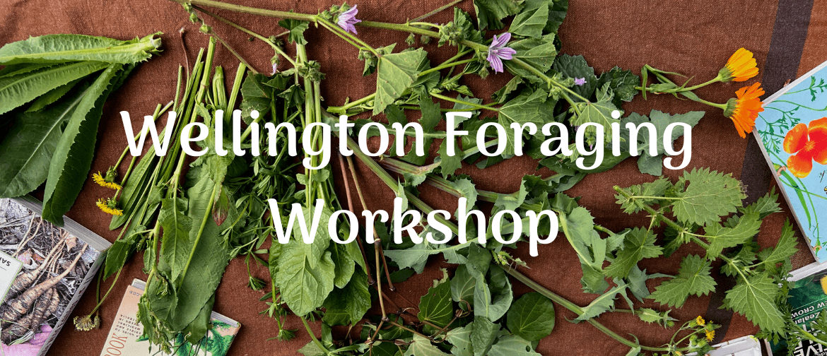 Wellington Foraging Workshop