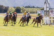 Image for event: New Year's Race Day at Tauherenikau