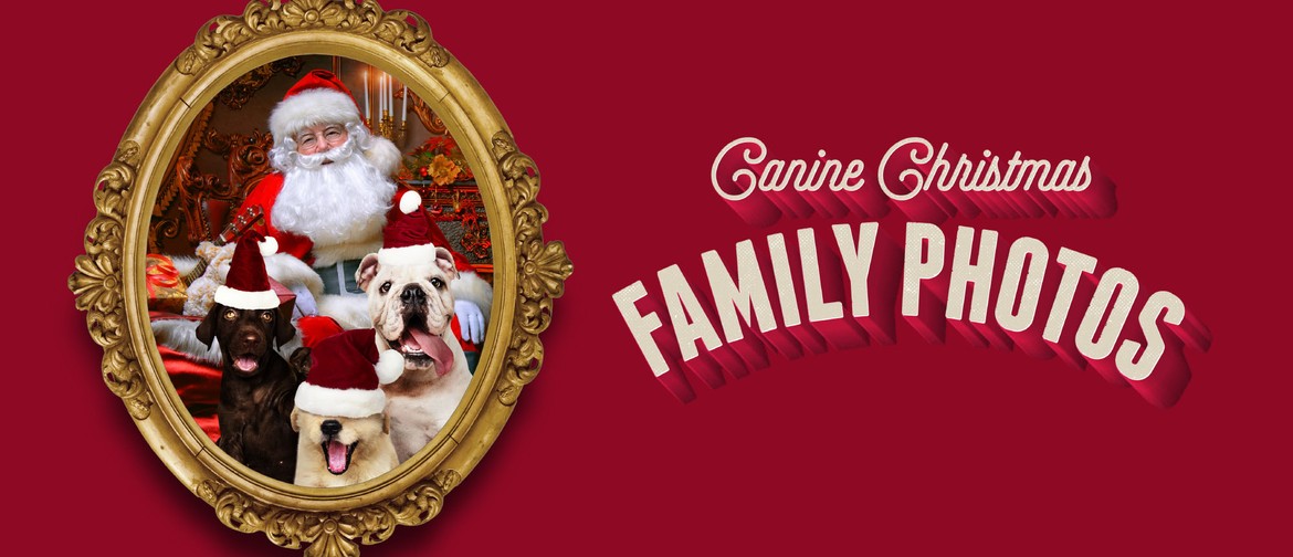 Canine Christmas Family Photos