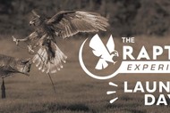 The Raptor Experience Launch Day