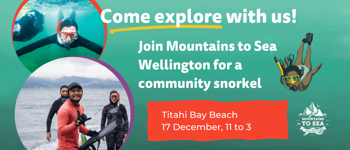 Free Community Snorkel | Titahi Bay | Mountains to Sea