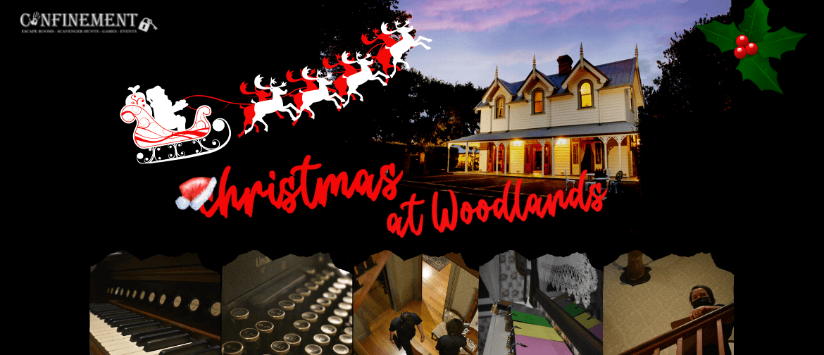 Christmas Mystery At Woodlands