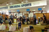 Rangitikei Shearing Sports 2023