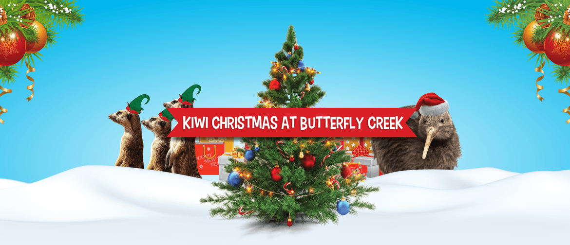 Kiwi Christmas Crafts at Butterfly Creek