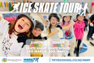 Ice Skate Tour 