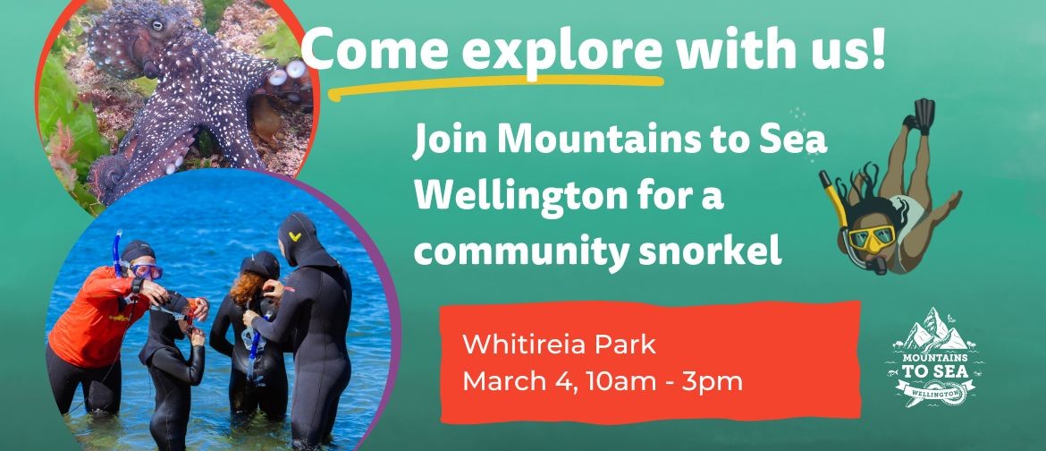 Free Community Snorkel | Whitireia Park