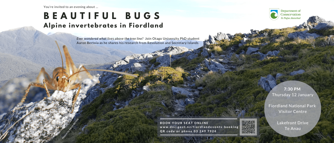 Beautiful Bugs - Alpine Invertebrates in Fiordland