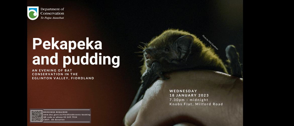 Pekapeka and Pudding:  bat conservation in the Eglington