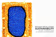 'Sustainability' Exhibition by Rohan Wealleans