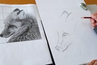 Introduction to Drawing