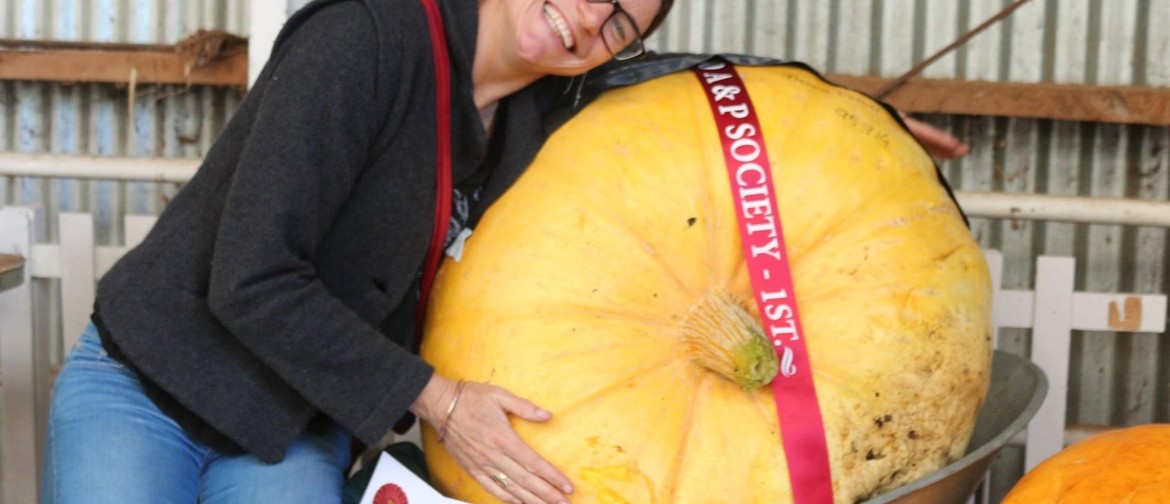 South Otago A&P Giant Pumpkin day Balclutha Eventfinda
