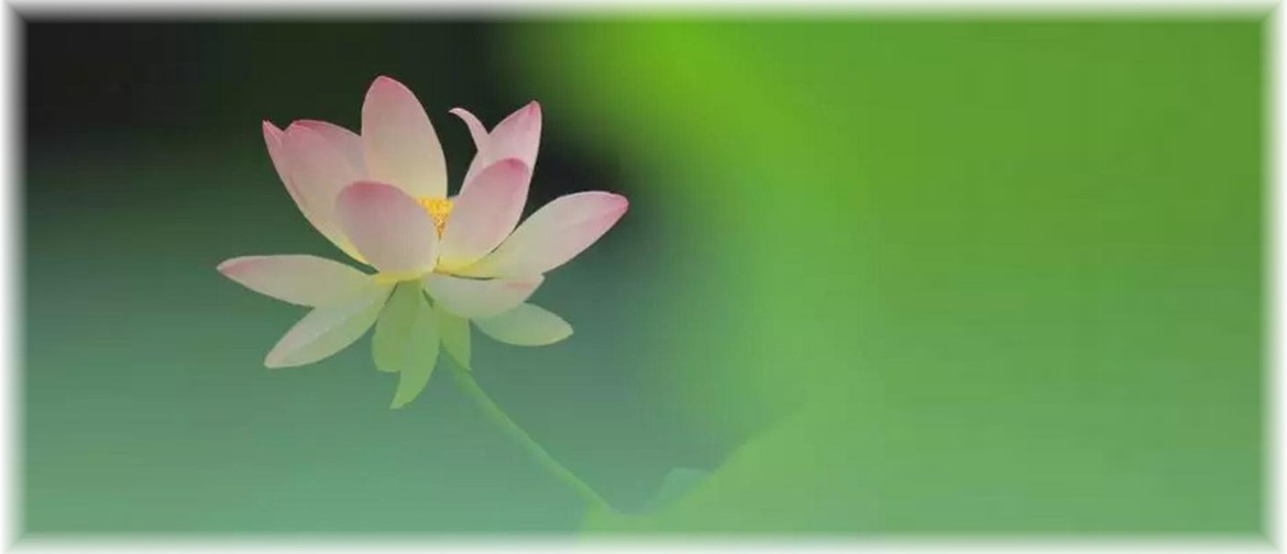 Qigong Beginners Morning Course - Energy Healing