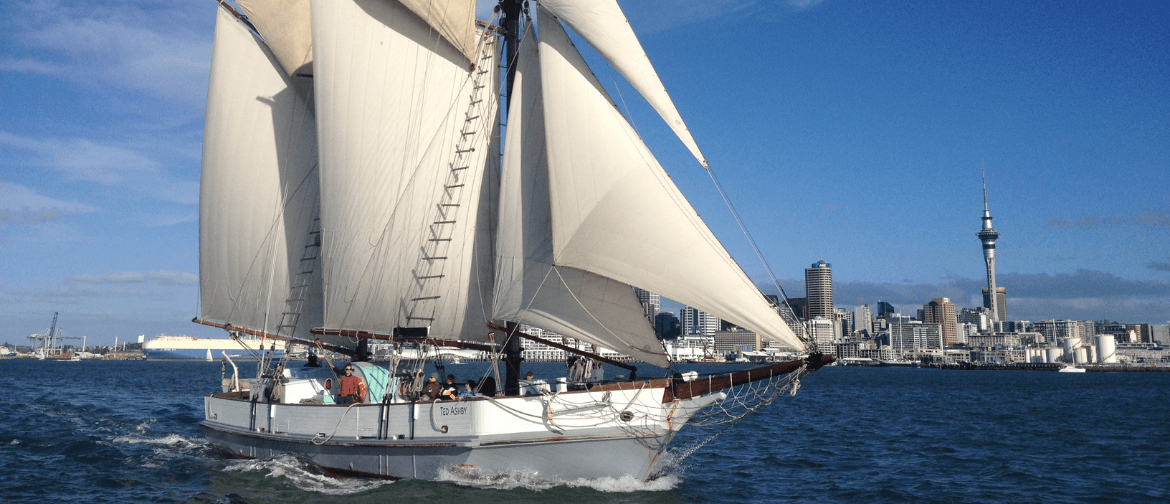 Ted Ashby Auckland Anniversary Sailing