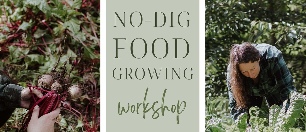 No-Dig Food Growing // Workshop