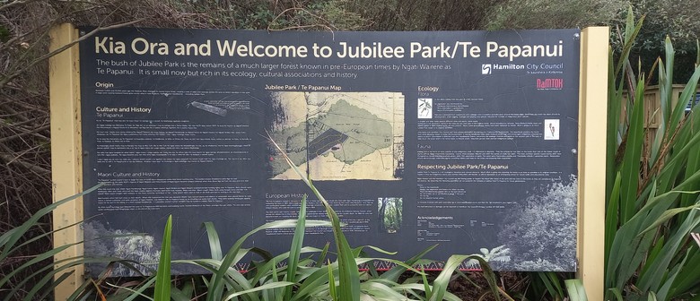 Jubilee Park - Working Bee