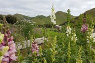 Flower Farm - Garden to visit