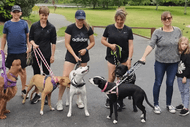 Mindfulness4dogs Cambridge Adult Dog Manners Class