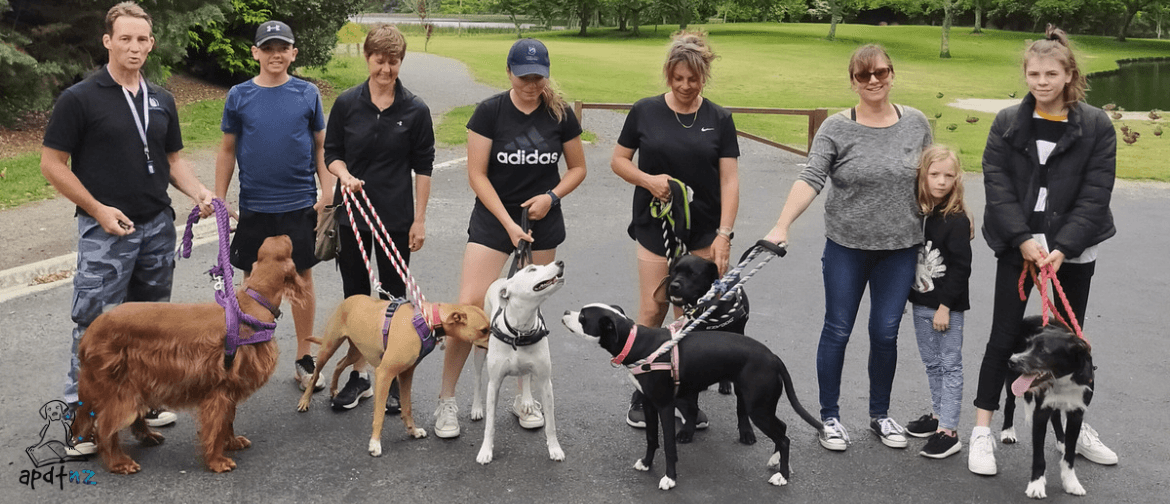 Mindfulness4dogs Hamilton Adult Dog Manners Class