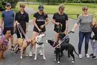 Mindfulness4dogs Hamilton Adult Dog Manners Class