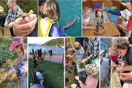 Conservation Kids NZ - Tūpoupou / Hector's Dolphin Day