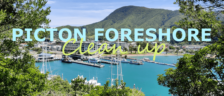 Picton Foreshore Clean-up (seaweek Event)