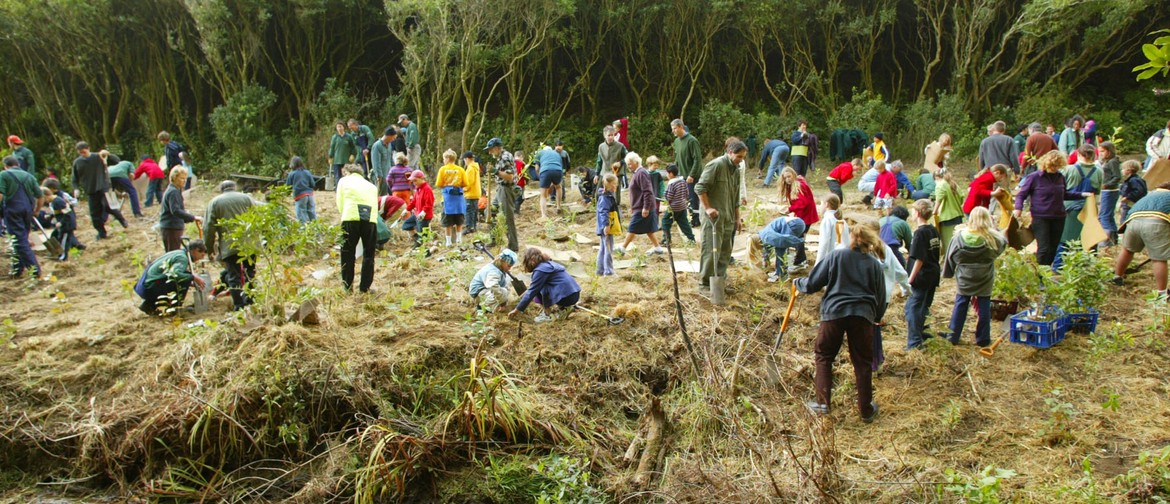 Community Clean Up - Wilton Park Slip at Ōtari-Wilton’s Bush
