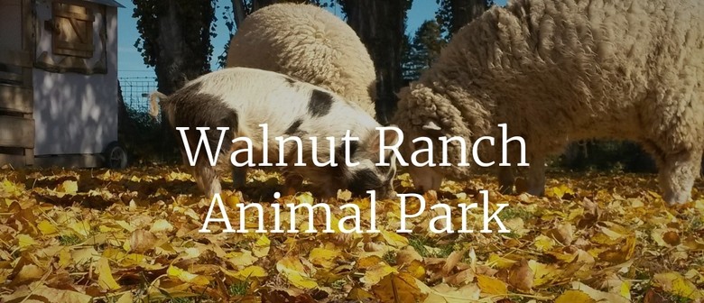 Walnut Ranch Open Day